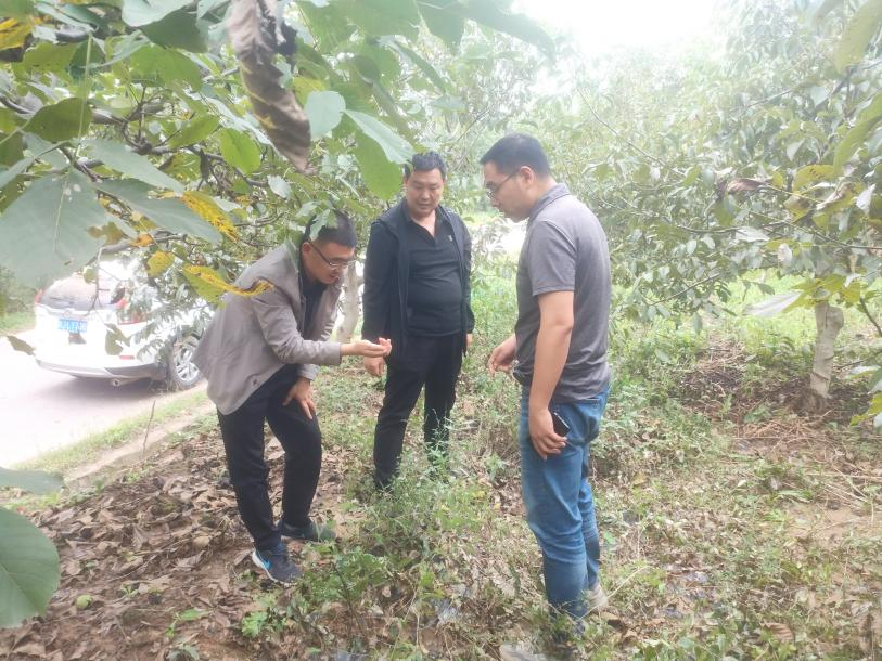 图片4.png 图片4.png