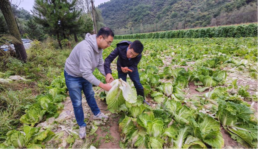 图片2.png 图片2.png