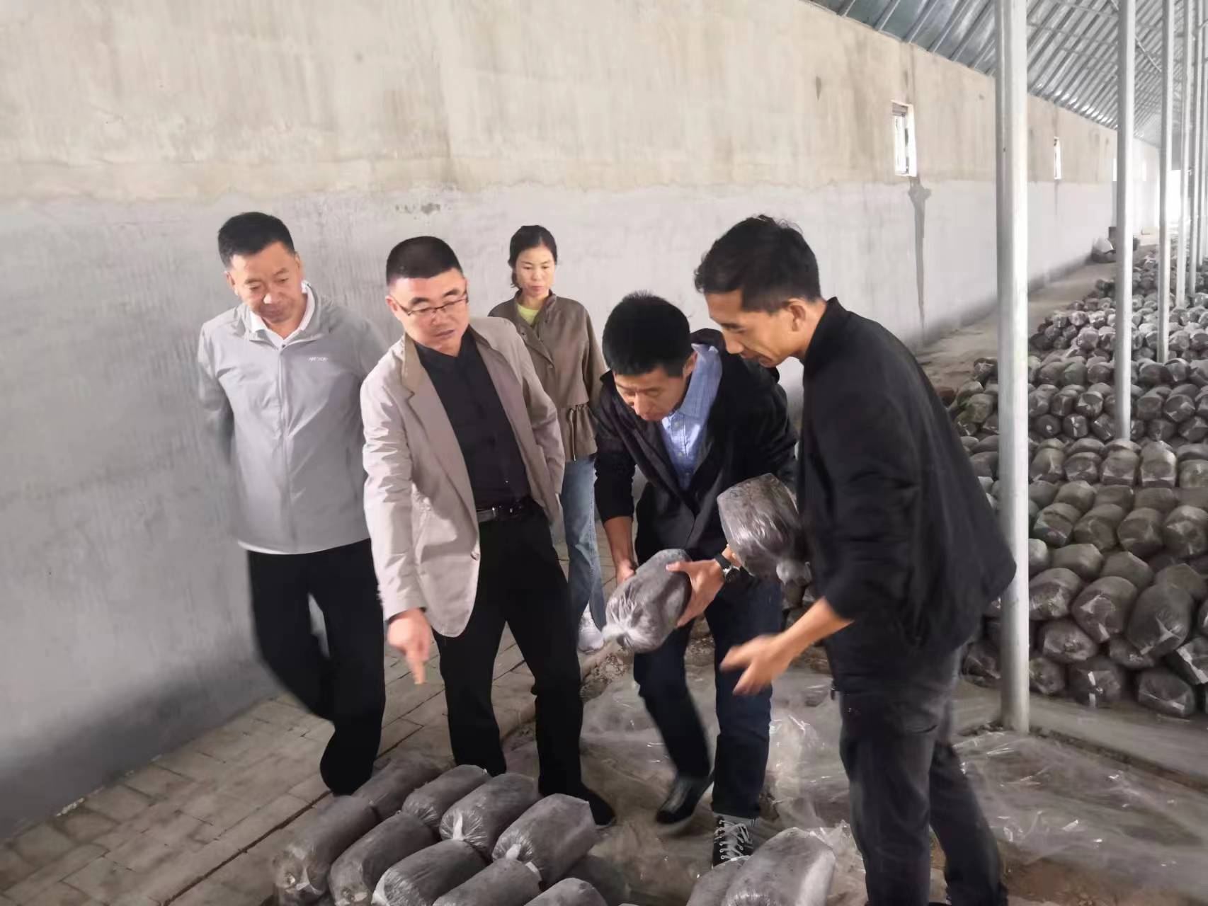 图片1.png 图片1.png